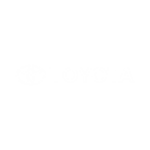 Toyota.png